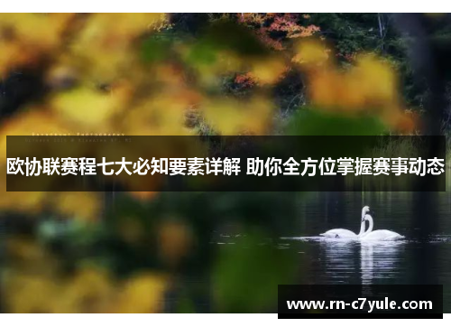 欧协联赛程七大必知要素详解 助你全方位掌握赛事动态