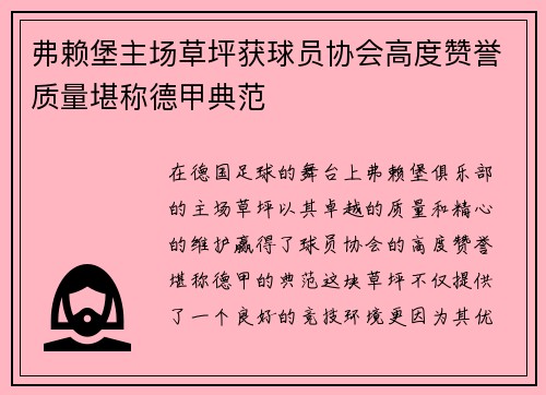 弗赖堡主场草坪获球员协会高度赞誉质量堪称德甲典范